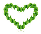 Green Leaves Heart