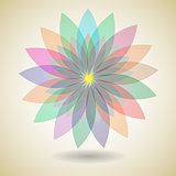Colorful flower with shadow background