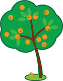 Cute Orange Tree