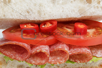 spicy italian sandwich with salami