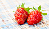 Fresh Sweet Strawberries on the Table Cloth