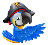 Pointing Pirate Parrot 