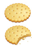 crispy cookies isolated on white