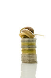 Snail on pile of coins