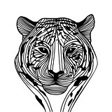 Tiger head silhouette, Vector