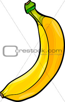 banana fruit cartoon illustration
