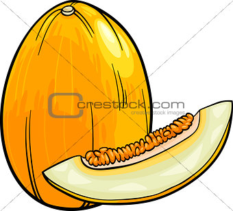 melon fruit cartoon illustration