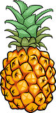 pineapple fruit cartoon illustration