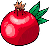 pomegranate fruit cartoon illustration