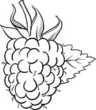 raspberry illustration for coloring book