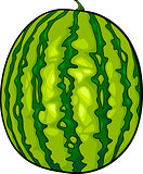 watermelon fruit cartoon illustration