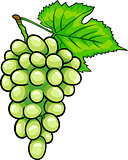 white grapes fruit cartoon illustration