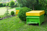 Yellow beehives