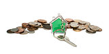 Coins and house key ring