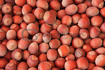 Hazelnuts closeup