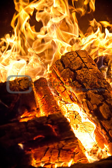 Close-up log wood burning