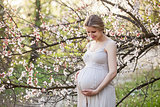 Pregnant woman against blossoming tree in spring