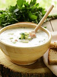 Traditional Russian cold soup with vegetables (okroshka)