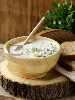 Traditional Russian cold soup with vegetables (okroshka)