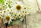 bouquet of fresh daisies on a wooden background