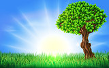 Sunny Field Tree Background
