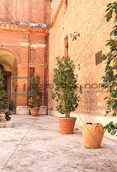 Patio in Sienna