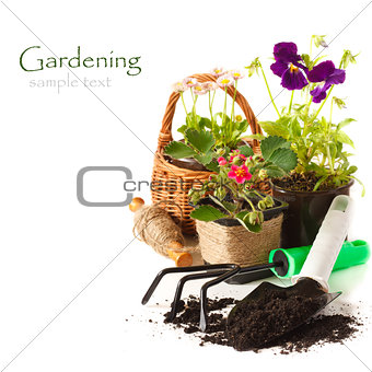 Gardening.