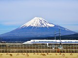 Fuji and Train