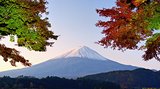 Mt. Fuji Panorama