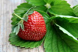 Fresh strawberry with green leaf on old wooden background