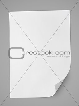 Blank sheet of white paper