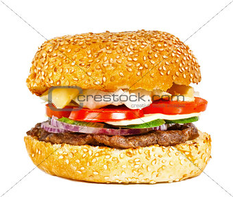 Beef burger with vegetables isolated on white