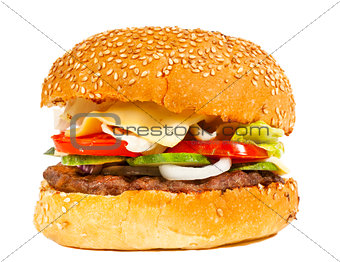 Burger with vegetables isolated on white