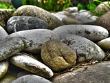 Little stones in garden