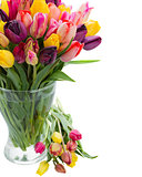 tulip flowers in glass vase