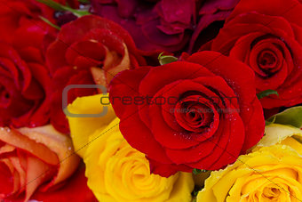 bouquet of roses close up