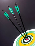 Three Green Black Archery Arrows Hit Round Target Bullseye Cente
