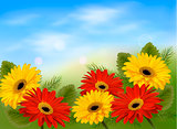 Nature background with colorful beautiful flowers and blue sky. 