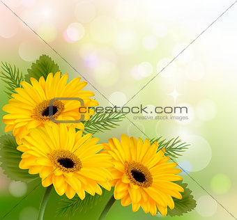 Nature background with yellow beautiful flowers. Vector illustra