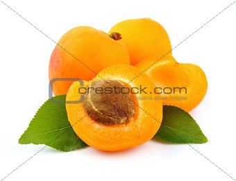 Sweet apricots fruits
