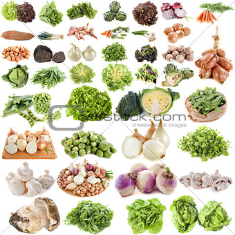 group of vegetables