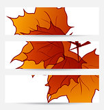 Set autumnal cards with maple leaves
