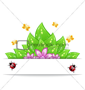 Eco friendly card with green leaves, flower, butterfly and ladyb