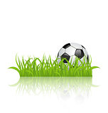 Soccer ball on grass isolated on white background