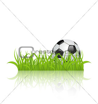 Soccer ball on grass isolated on white background