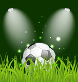 Soccer ball on green grass with light 