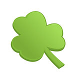 Green shamrock clover on st Patrick Day