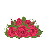 Bouquet red roses isolated on white background