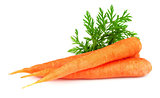 Sweet carrot
