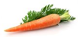 carrots with leaf